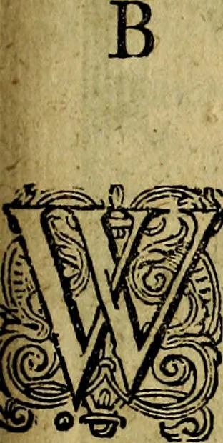 An illustration from Dan. Heinsii Nederduytsche poemata ; by een vergadert en uytgegeven door P. S, 1618, leaf 106