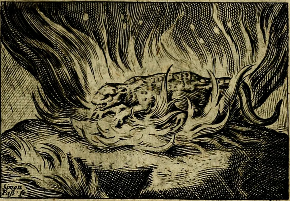An illustration from Dan. Heinsii Nederduytsche poemata ; by een vergadert en uytgegeven door P. S, 1618, leaf 84