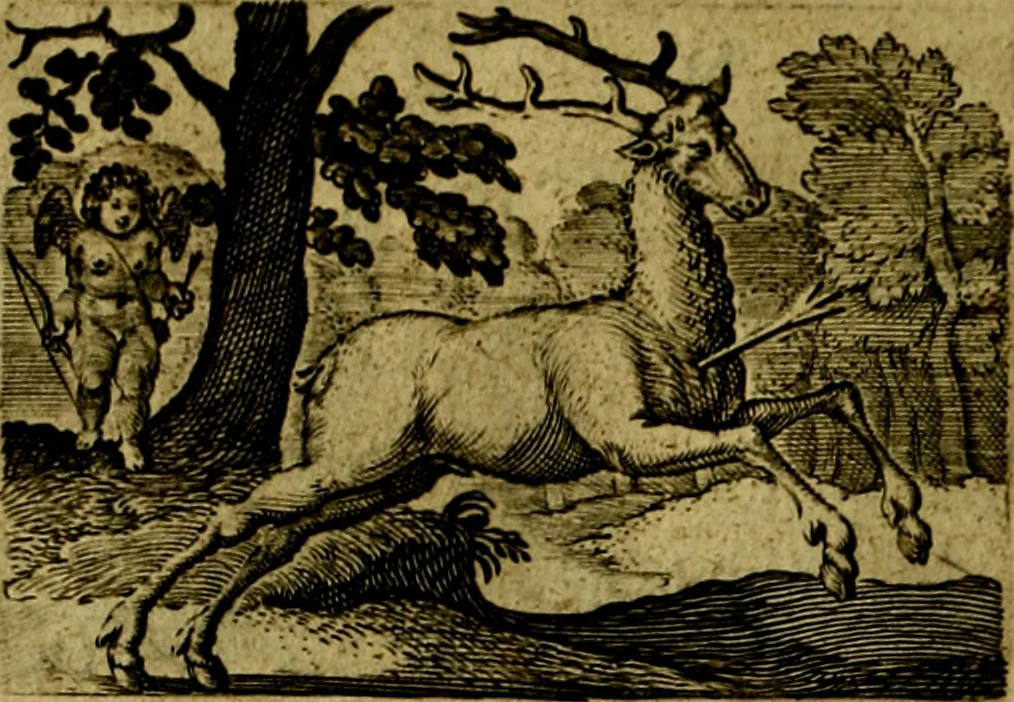An illustration from Dan. Heinsii Nederduytsche poemata ; by een vergadert en uytgegeven door P. S, 1618, leaf 89