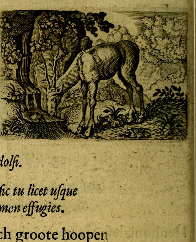 An illustration from Dan. Heinsii Nederduytsche poemata ; by een vergadert en uytgegeven door P. S, 1618, leaf 89