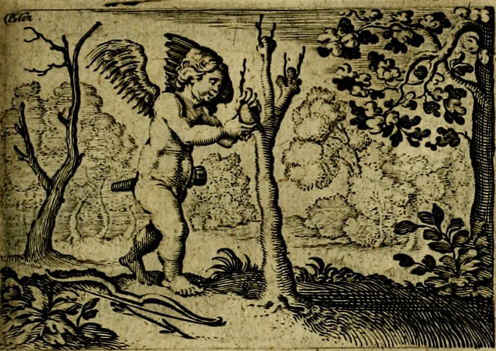 An illustration from Dan. Heinsii Nederduytsche poemata ; by een vergadert en uytgegeven door P. S, 1618, leaf 90