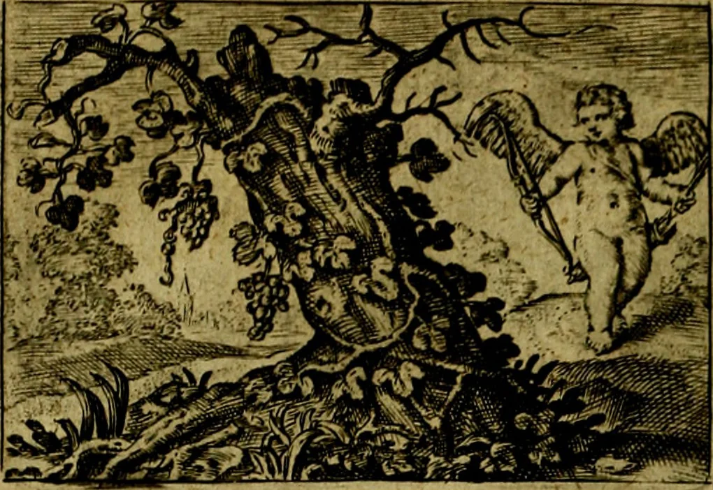 An illustration from Dan. Heinsii Nederduytsche poemata ; by een vergadert en uytgegeven door P. S, 1618, leaf 91