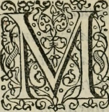 An illustration from Danicorum monumentorum libri sex : e spissis antiquitatum tenebris et in Dania ac Norvegia extantibus ruderibus, 1643, leaf 169