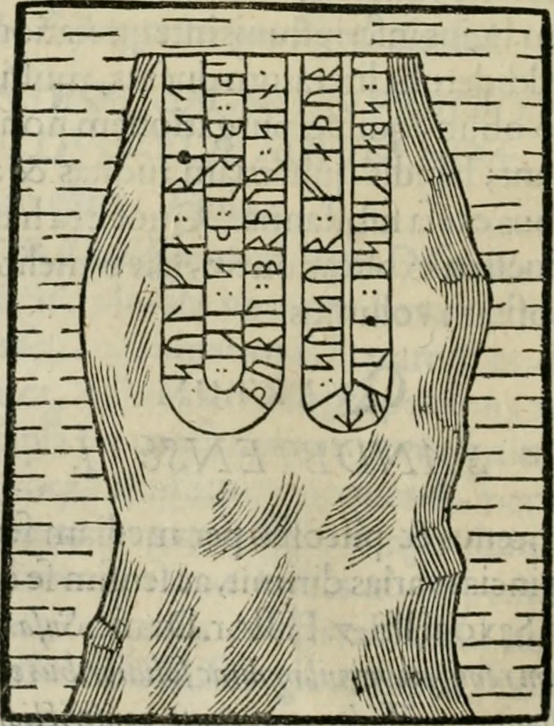 An illustration from Danicorum monumentorum libri sex : e spissis antiquitatum tenebris et in Dania ac Norvegia extantibus ruderibus, 1643, leaf 191