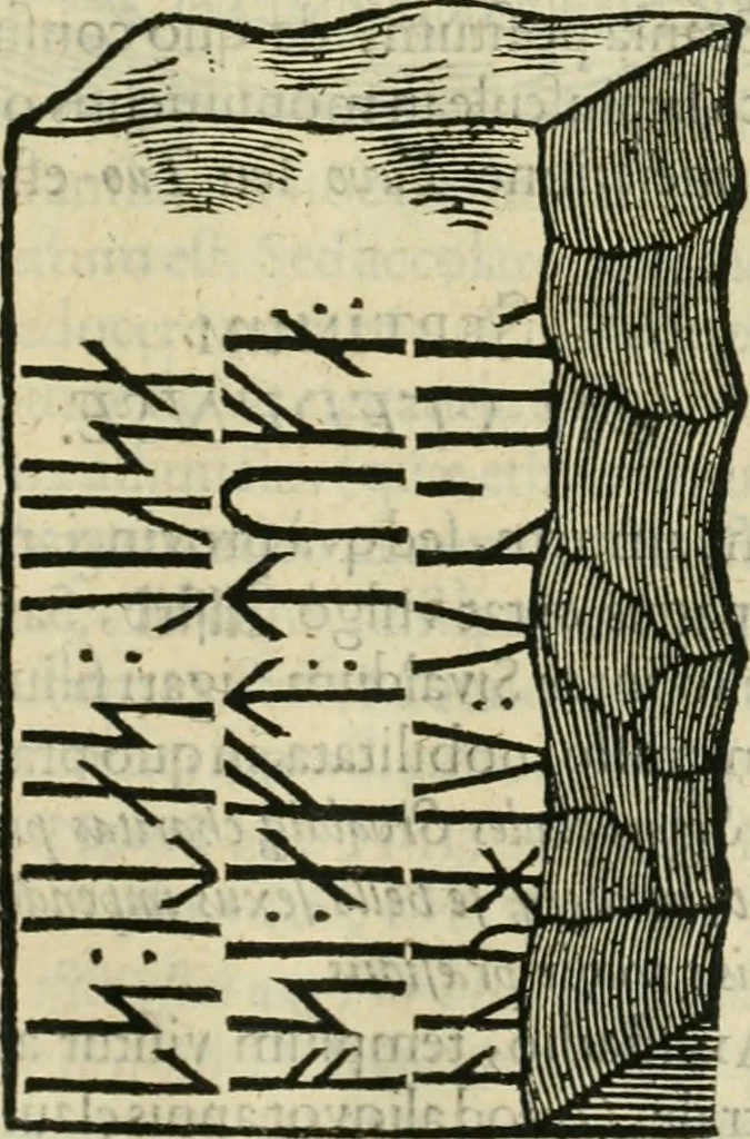 An illustration from Danicorum monumentorum libri sex : e spissis antiquitatum tenebris et in Dania ac Norvegia extantibus ruderibus, 1643, leaf 198