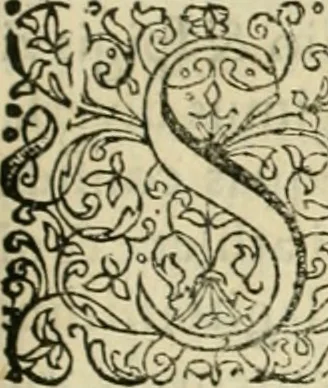 An illustration from Danicorum monumentorum libri sex : e spissis antiquitatum tenebris et in Dania ac Norvegia extantibus ruderibus, 1643, leaf 208