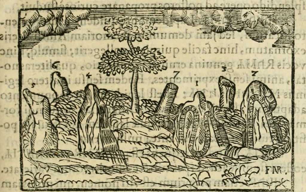 An illustration from Danicorum monumentorum libri sex : e spissis antiquitatum tenebris et in Dania ac Norvegia extantibus ruderibus, 1643, leaf 216