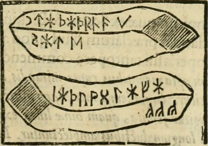 An illustration from Danicorum monumentorum libri sex : e spissis antiquitatum tenebris et in Dania ac Norvegia extantibus ruderibus, 1643, leaf 288