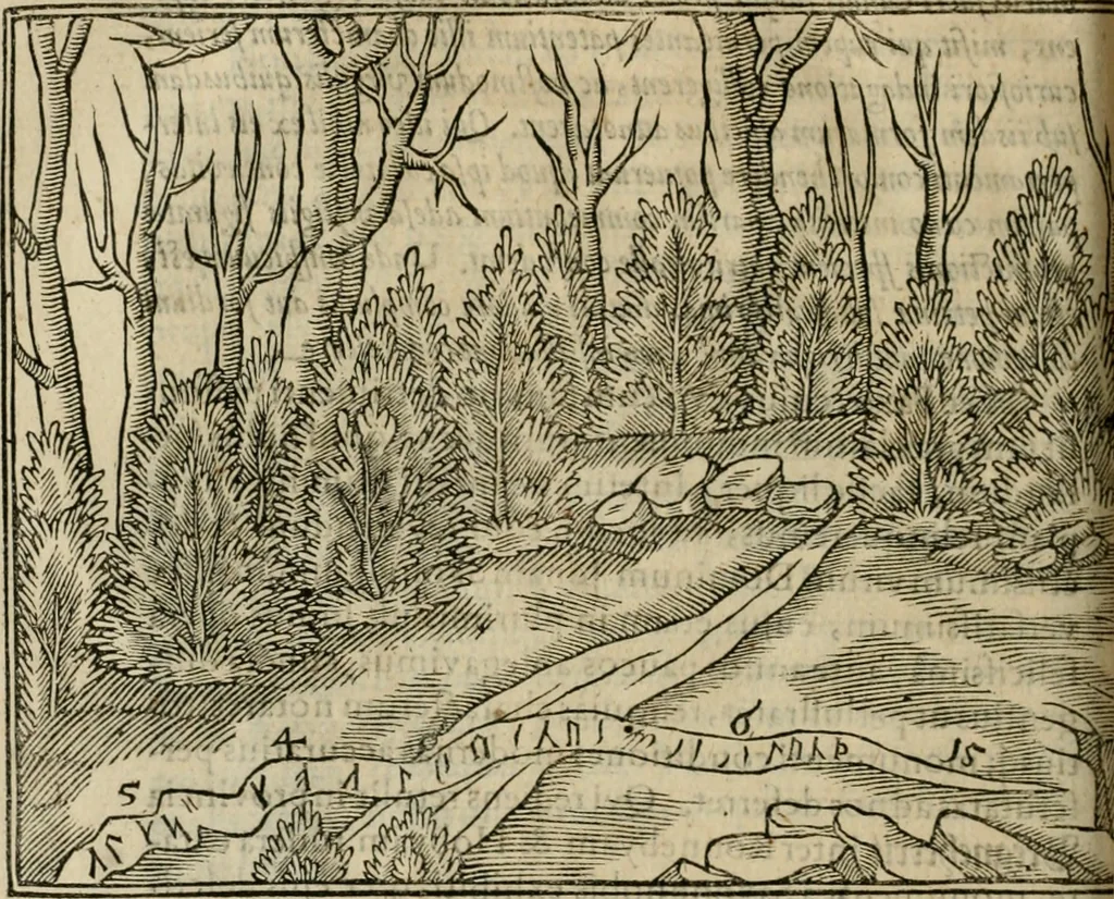 An illustration from Danicorum monumentorum libri sex : e spissis antiquitatum tenebris et in Dania ac Norvegia extantibus ruderibus, 1643, leaf 291