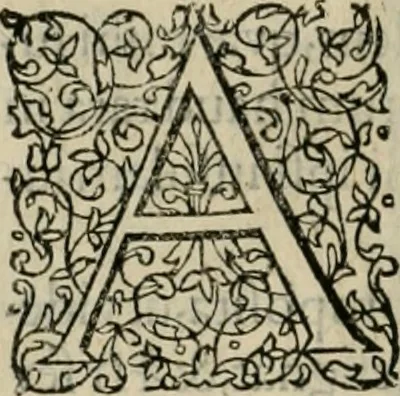 An illustration from Danicorum monumentorum libri sex : e spissis antiquitatum tenebris et in Dania ac Norvegia extantibus ruderibus, 1643, leaf 307