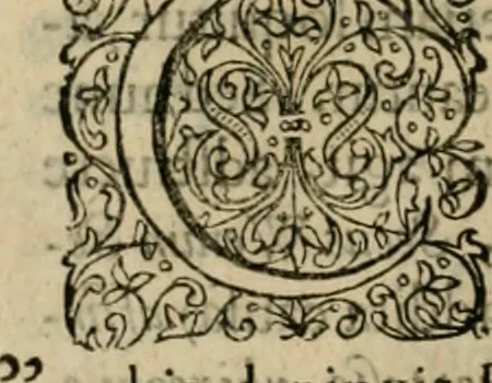 An illustration from Danicorum monumentorum libri sex : e spissis antiquitatum tenebris et in Dania ac Norvegia extantibus ruderibus, 1643, leaf 341