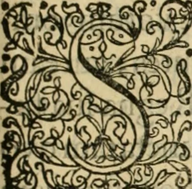 An illustration from Danicorum monumentorum libri sex : e spissis antiquitatum tenebris et in Dania ac Norvegia extantibus ruderibus, 1643, leaf 416