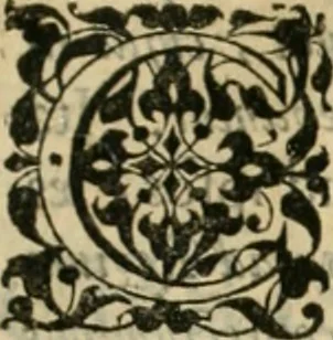An illustration from Danicorum monumentorum libri sex : e spissis antiquitatum tenebris et in Dania ac Norvegia extantibus ruderibus, 1643, leaf 420