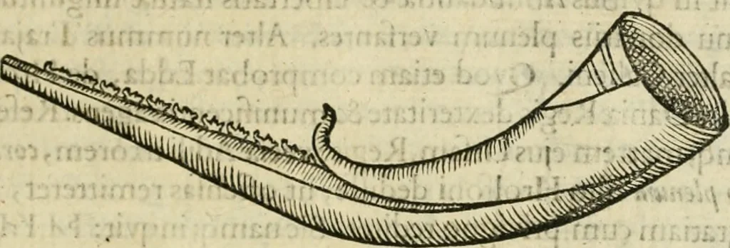 An illustration from Danicorum monumentorum libri sex : e spissis antiquitatum tenebris et in Dania ac Norvegia extantibus ruderibus, 1643, leaf 454