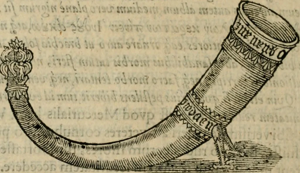 An illustration from Danicorum monumentorum libri sex : e spissis antiquitatum tenebris et in Dania ac Norvegia extantibus ruderibus, 1643, leaf 465