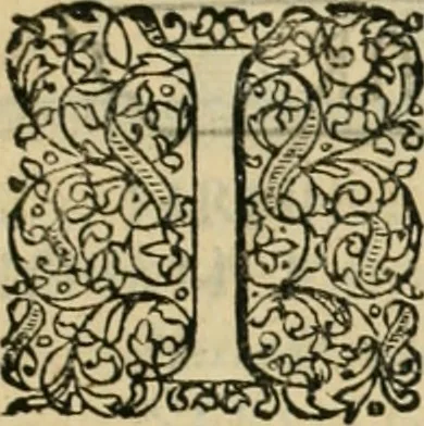 An illustration from Danicorum monumentorum libri sex : e spissis antiquitatum tenebris et in Dania ac Norvegia extantibus ruderibus, 1643, leaf 528