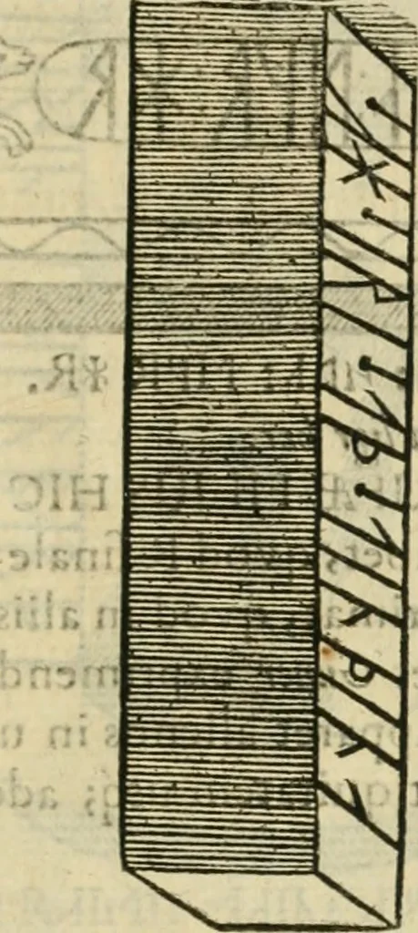 An illustration from Danicorum monumentorum libri sex : e spissis antiquitatum tenebris et in Dania ac Norvegia extantibus ruderibus, 1643, leaf 572