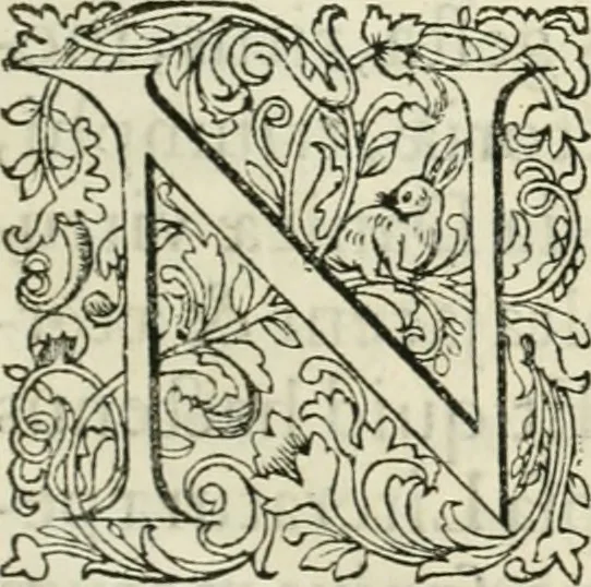 An illustration from Danicorum monumentorum libri sex : e spissis antiquitatum tenebris et in Dania ac Norvegia extantibus ruderibus, 1643, leaf 8