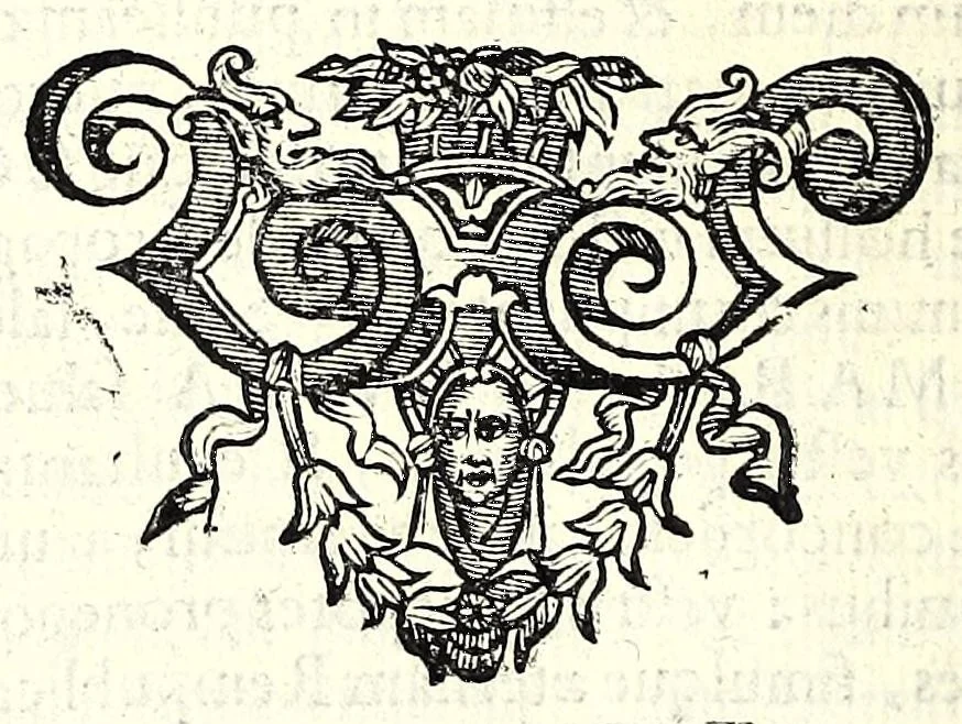An illustration from Danielis Eremitae Belgae Panegyricvs Cosmo Medices fer. fil. magno hetruriae principi dictus, cum faustissimo omine D. Mariae Magdalenae, Austriacae, Car. F. Augustae, nuptiarum sacris initiaretur, 1608, leaf 44