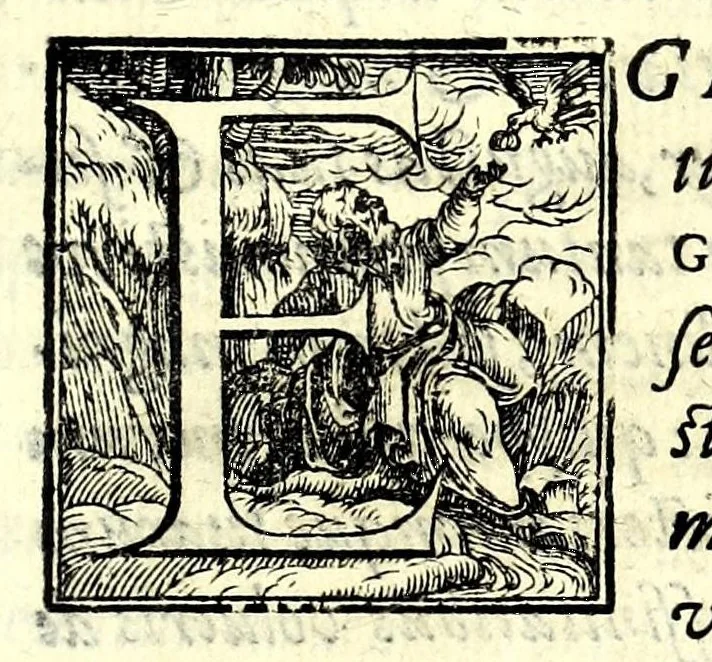 An illustration from Danielis Eremitae Belgae Panegyricvs Cosmo Medices fer. fil. magno hetruriae principi dictus, cum faustissimo omine D. Mariae Magdalenae, Austriacae, Car. F. Augustae, nuptiarum sacris initiaretur, 1608, leaf 5