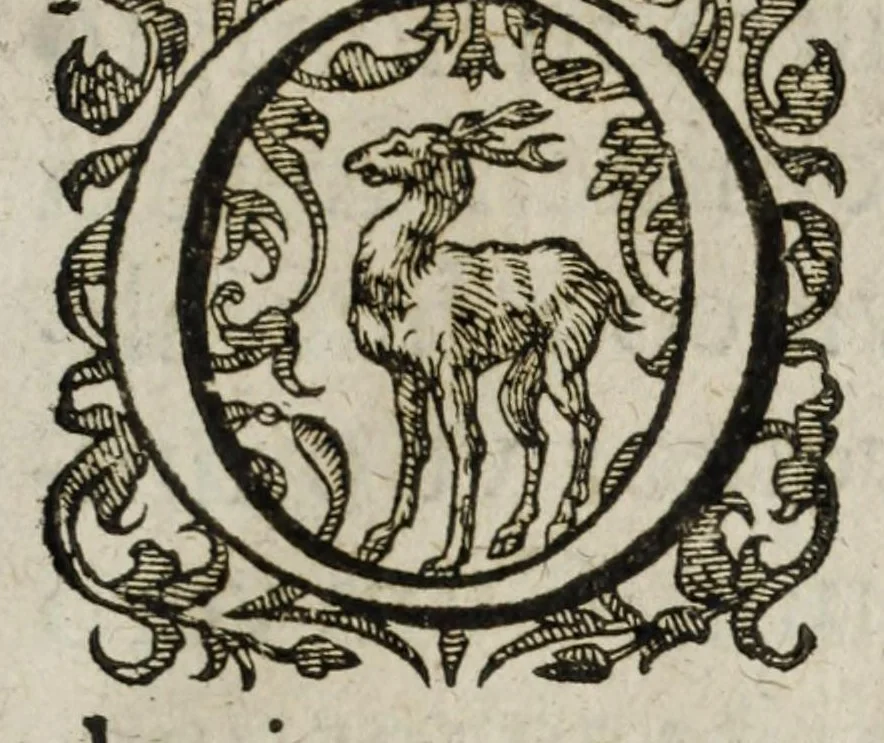 An illustration from Danielis Heinsii in obitum v. illustr. Iosephi Scaligeri, Iul. Caes. a Burden f., eruditorum principis, orationes duae : accedunt epicedia eiusdem & aliorum : effigies item ac monumentum Scaligeri & principum veronensium aeri incisa, 1609, leaf 25