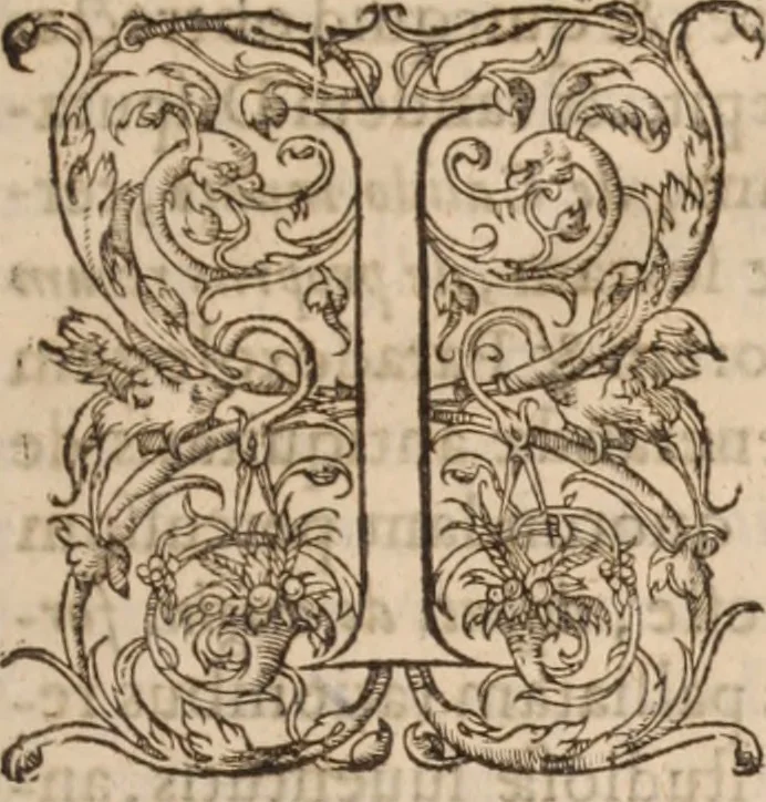 An illustration from Danielis Sennerti Vratislaviensis, D. Et Medicinae In Academia Wittebergensi Profesessoris publici., 1641, leaf 18