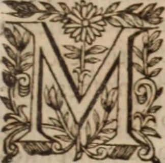 An illustration from Danielis Sennerti Vratislaviensis, D. Et Medicinae In Academia Wittebergensi Profesessoris publici., 1641, leaf 188