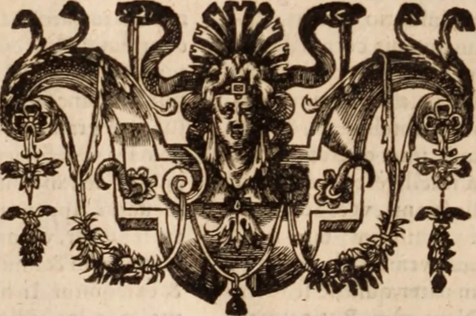 An illustration from Danielis Sennerti Vratislaviensis, D. Et Medicinae In Academia Wittebergensi Profesessoris publici., 1641, leaf 355
