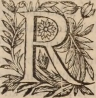 An illustration from Danielis Sennerti Vratislaviensis, D. Et Medicinae In Academia Wittebergensi Profesessoris publici., 1641, leaf 416