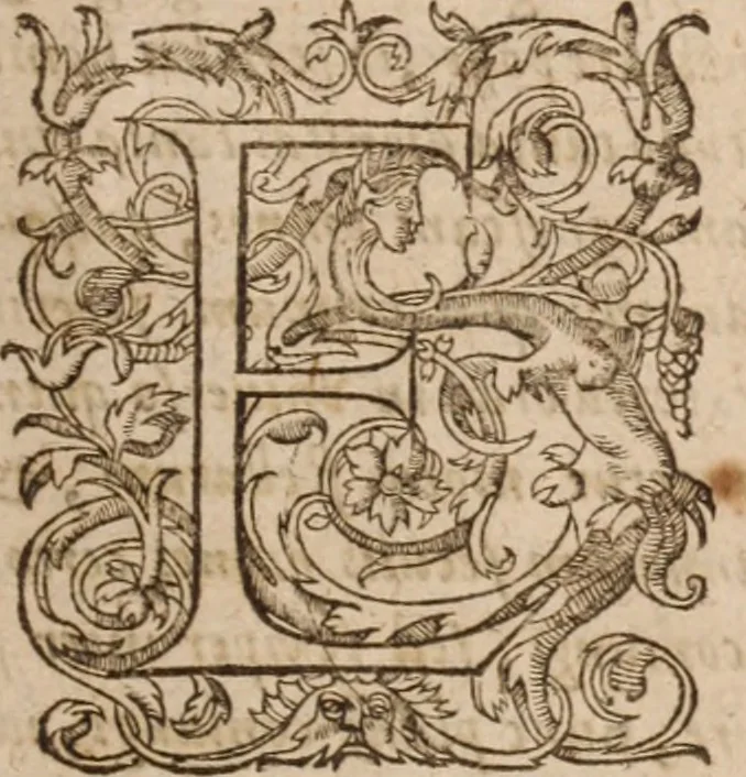An illustration from Danielis Sennerti Vratislaviensis, D. Et Medicinae In Academia Wittebergensi Profesessoris publici., 1641, leaf 54