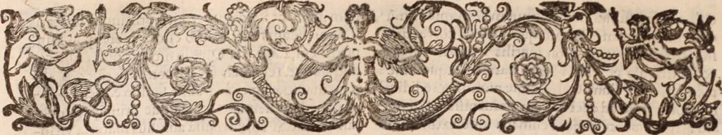 An illustration from Danielis Sennerti Vratislaviensis, D. Et Medicinae In Academia Wittebergensi Profesessoris publici., 1641, leaf 663