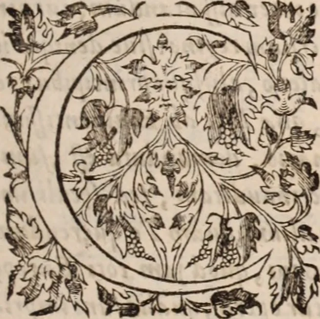 An illustration from Danielis Sennerti Vratislaviensis, D. Et Medicinae In Academia Wittebergensi Profesessoris publici., 1641, leaf 8