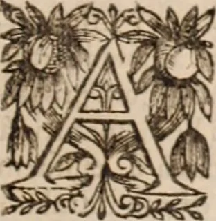 An illustration from Danielis Sennerti Vratislaviensis, D. Et Medicinae In Academia Wittebergensi Profesessoris publici., 1641, leaf 1126