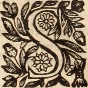 An illustration from Danielis Sennerti Vratislaviensis, D. Et Medicinae In Academia Wittebergensi Profesessoris publici., 1641, leaf 1129