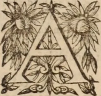 An illustration from Danielis Sennerti Vratislaviensis, D. Et Medicinae In Academia Wittebergensi Profesessoris publici., 1641, leaf 1132