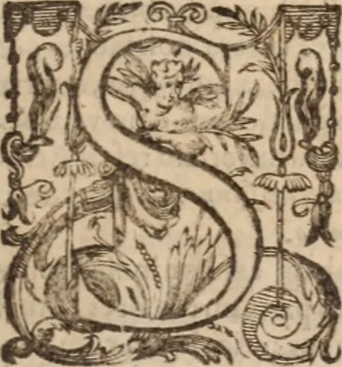 An illustration from Danielis Sennerti Vratislaviensis, D. Et Medicinae In Academia Wittebergensi Profesessoris publici., 1641, leaf 20