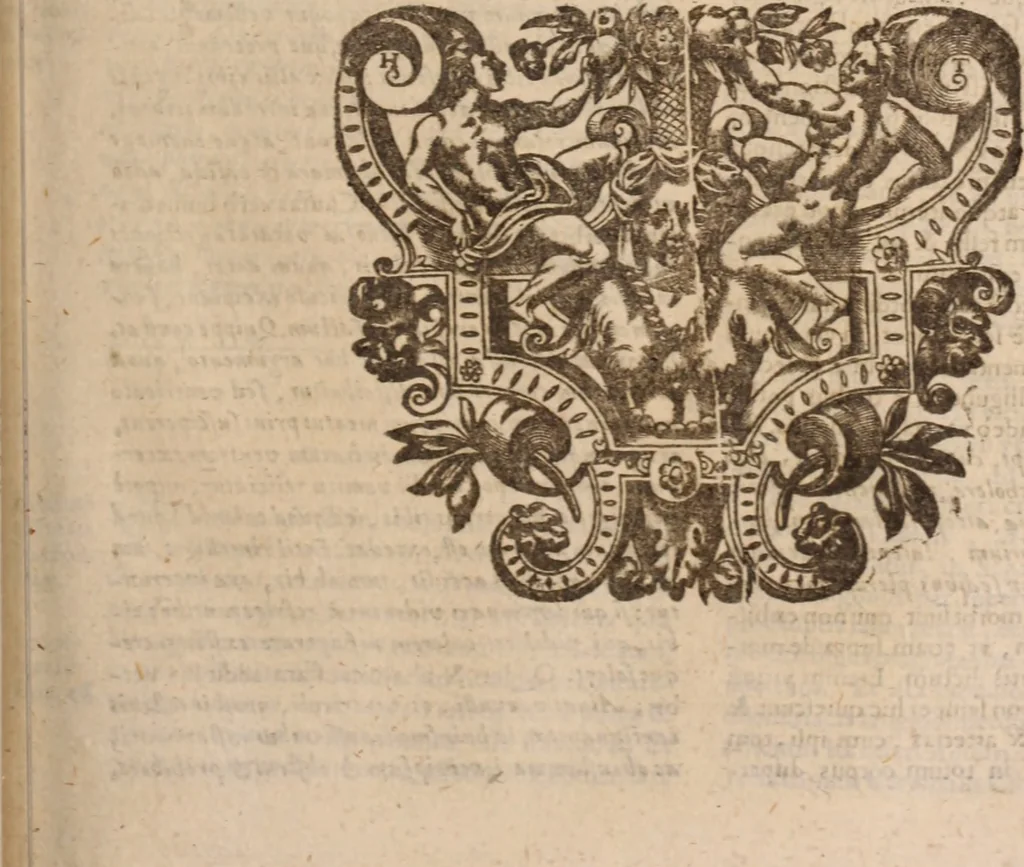 An illustration from Danielis Sennerti Vratislaviensis, D. Et Medicinae In Academia Wittebergensi Profesessoris publici., 1641, leaf 208