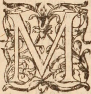 An illustration from Danielis Sennerti Vratislaviensis, D. Et Medicinae In Academia Wittebergensi Profesessoris publici., 1641, leaf 225