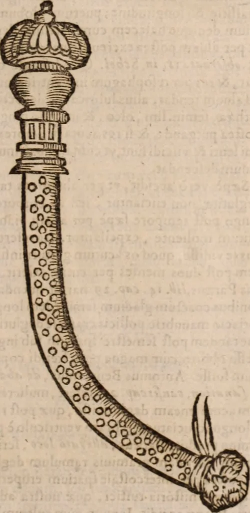 An illustration from Danielis Sennerti Vratislaviensis, D. Et Medicinae In Academia Wittebergensi Profesessoris publici., 1641, leaf 24