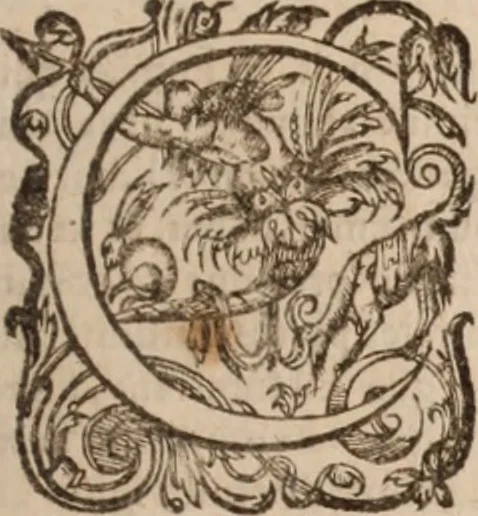 An illustration from Danielis Sennerti Vratislaviensis, D. Et Medicinae In Academia Wittebergensi Profesessoris publici., 1641, leaf 360