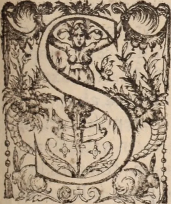 An illustration from Danielis Sennerti Vratislaviensis, D. Et Medicinae In Academia Wittebergensi Profesessoris publici., 1641, leaf 450
