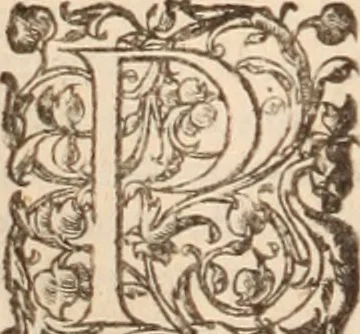 An illustration from Danielis Sennerti Vratislaviensis, D. Et Medicinae In Academia Wittebergensi Profesessoris publici., 1641, leaf 497