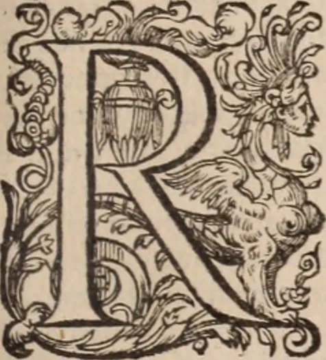 An illustration from Danielis Sennerti Vratislaviensis, D. Et Medicinae In Academia Wittebergensi Profesessoris publici., 1641, leaf 504