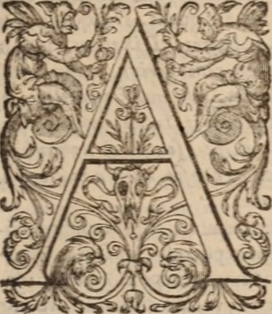 An illustration from Danielis Sennerti Vratislaviensis, D. Et Medicinae In Academia Wittebergensi Profesessoris publici., 1641, leaf 562