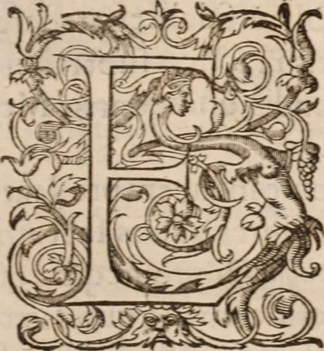 An illustration from Danielis Sennerti Vratislaviensis, D. Et Medicinae In Academia Wittebergensi Profesessoris publici., 1641, leaf 6