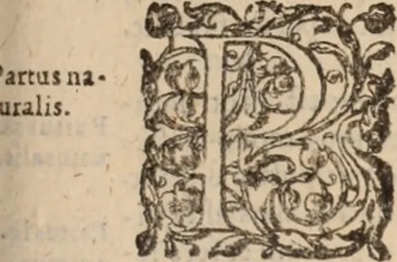 An illustration from Danielis Sennerti Vratislaviensis, D. Et Medicinae In Academia Wittebergensi Profesessoris publici., 1641, leaf 600