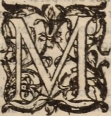 An illustration from Danielis Sennerti Vratislaviensis, D. Et Medicinae In Academia Wittebergensi Profesessoris publici., 1641, leaf 640