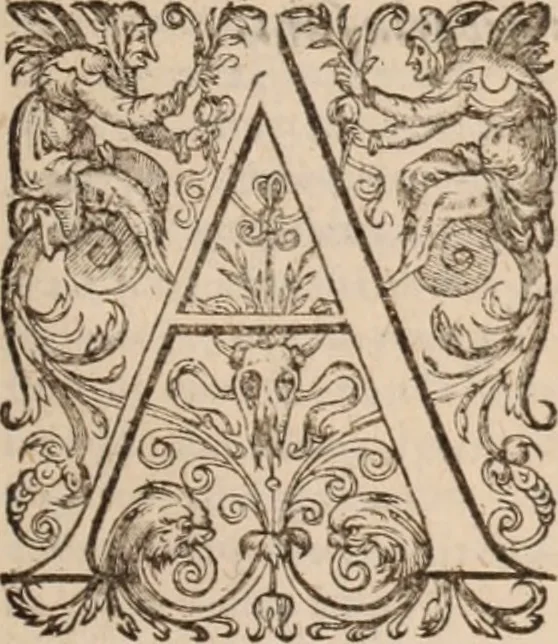 An illustration from Danielis Sennerti Vratislaviensis, D. Et Medicinae In Academia Wittebergensi Profesessoris publici., 1641, leaf 660
