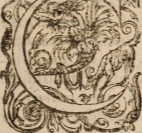 An illustration from Danielis Sennerti Vratislaviensis, D. Et Medicinae In Academia Wittebergensi Profesessoris publici., 1641, leaf 700