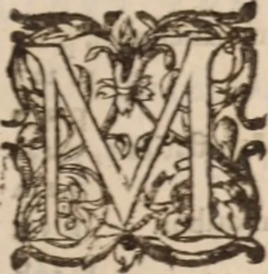 An illustration from Danielis Sennerti Vratislaviensis, D. Et Medicinae In Academia Wittebergensi Profesessoris publici., 1641, leaf 8